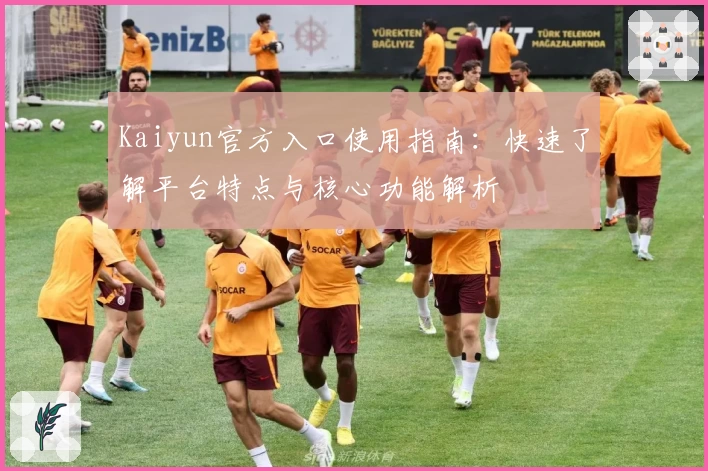 Kaiyun官方入口使用指南：快速了解平台特点与核心功能解析